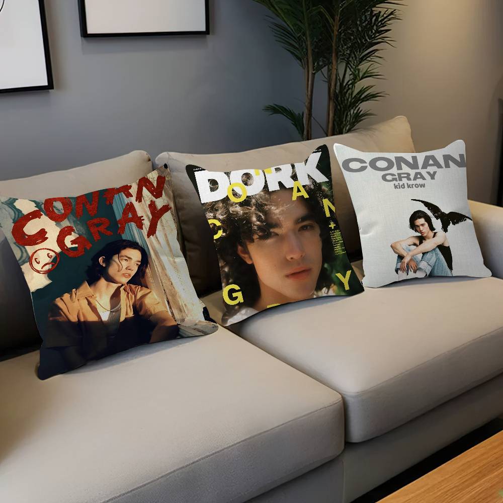 Singer C-Conan Gray Personaliz – Home Textiles Inc recenzja i cena