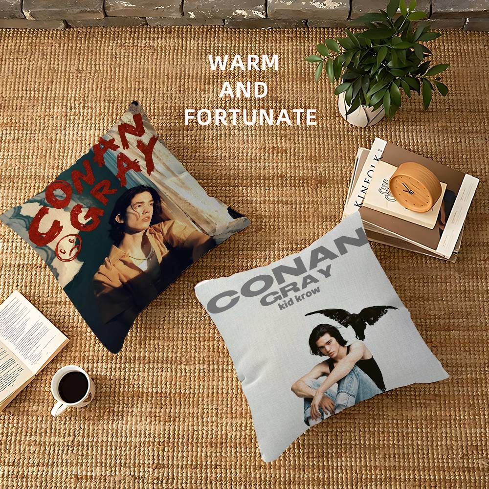 Singer C-Conan Gray Personaliz – Home Textiles Inc recenzja i cena