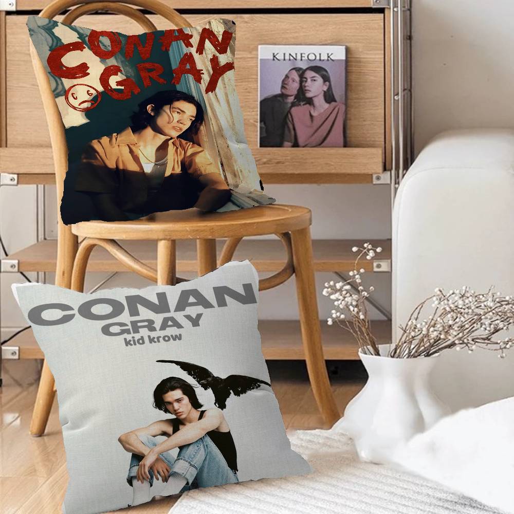 Singer C-Conan Gray Personaliz – Home Textiles Inc recenzja i cena