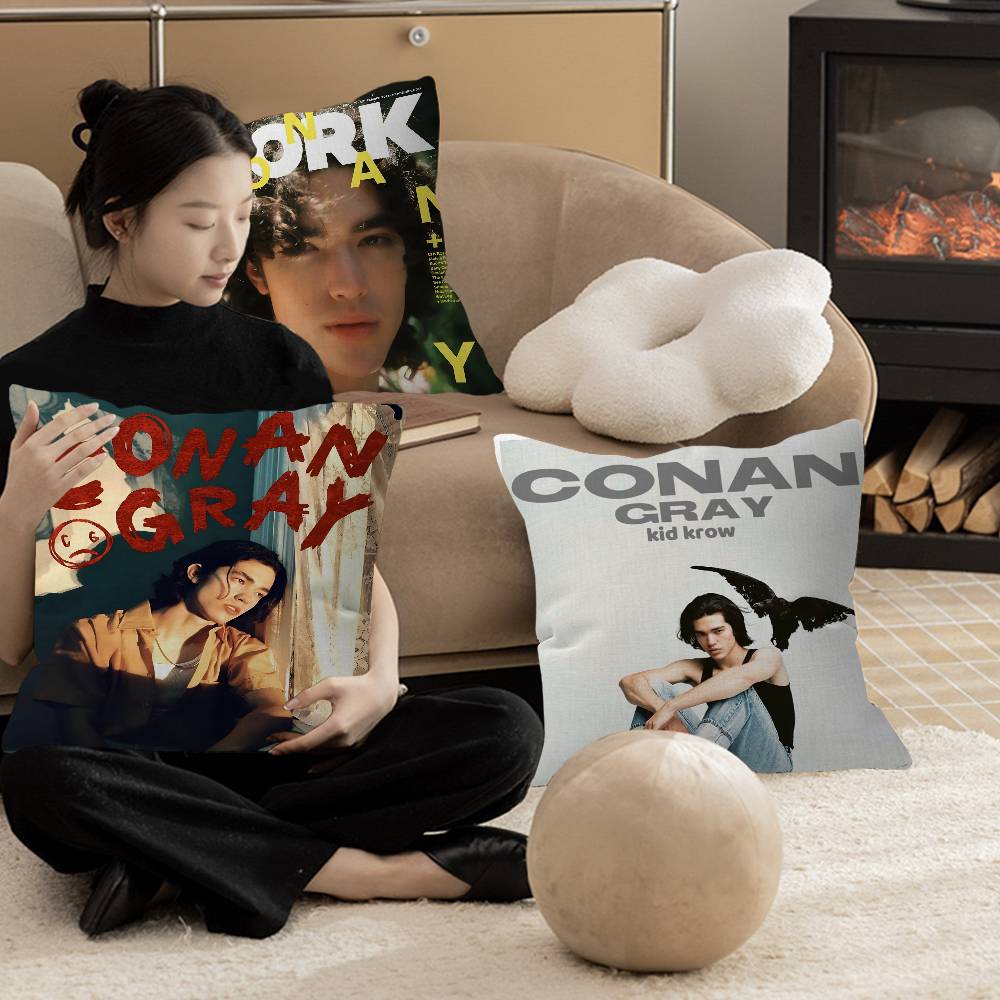 Singer C-Conan Gray Personaliz – Home Textiles Inc recenzja i cena