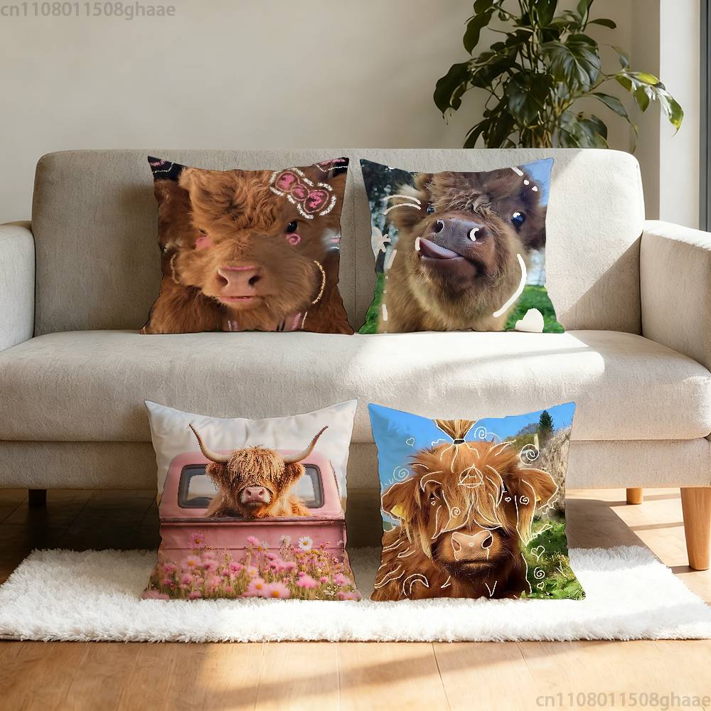Cute Highland Cow Pillow Case  – Highland Home Textiles recenzja i cena