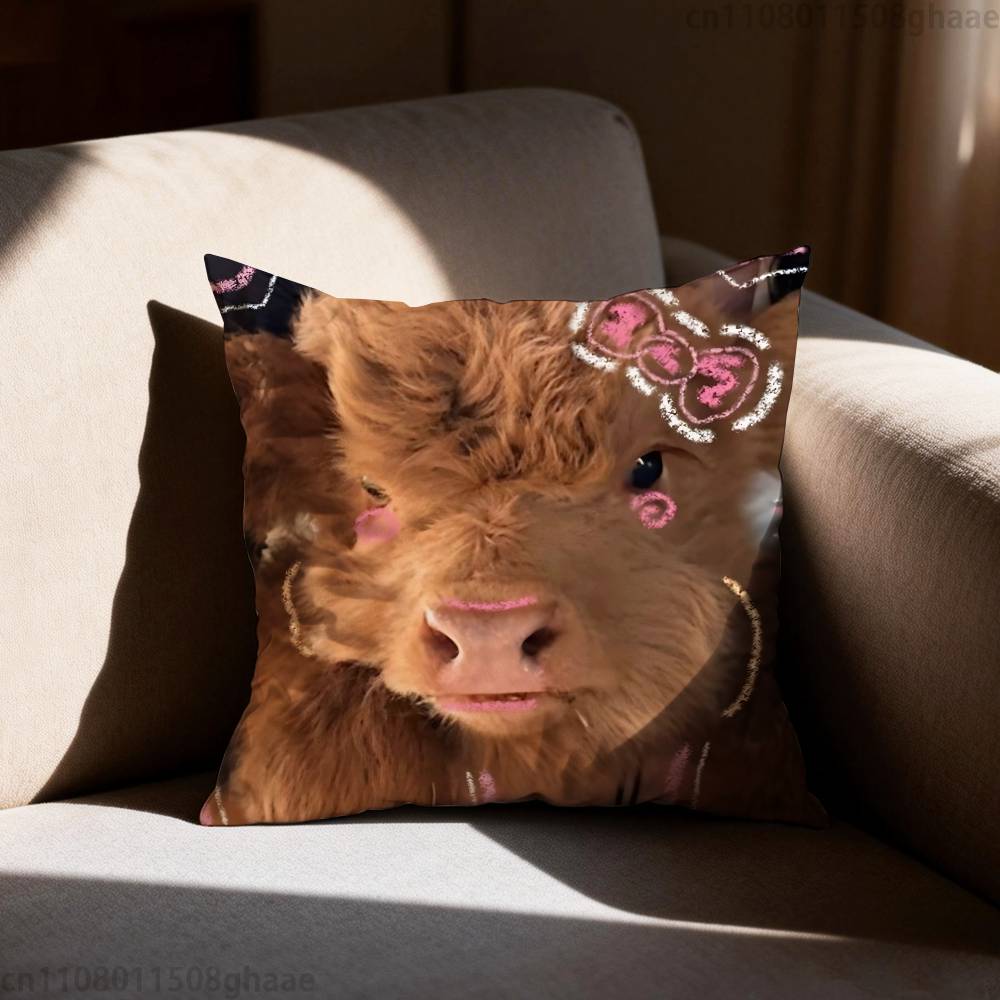 Cute Highland Cow Pillow Case  – Highland Home Textiles recenzja i cena