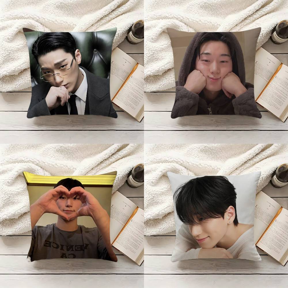C-Choi S-San Pillow Cover Sofa – Home Textiles Inc recenzja i cena