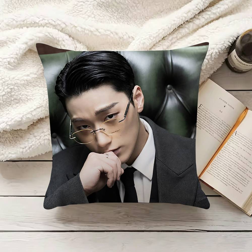 C-Choi S-San Pillow Cover Sofa – Home Textiles Inc recenzja i cena