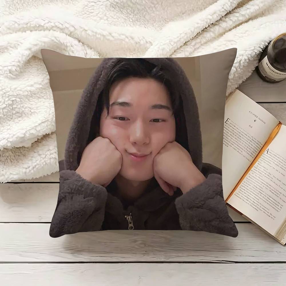 C-Choi S-San Pillow Cover Sofa – Home Textiles Inc recenzja i cena